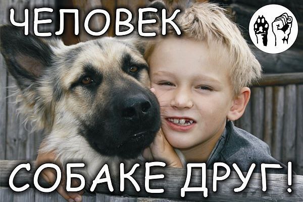 ���� ������� :3 - 30 ������� 2014 � 14:23