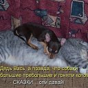 ���� �����, ������, 34 ���� - ��������� 27 �������� 2014 � ������ ������ ��������