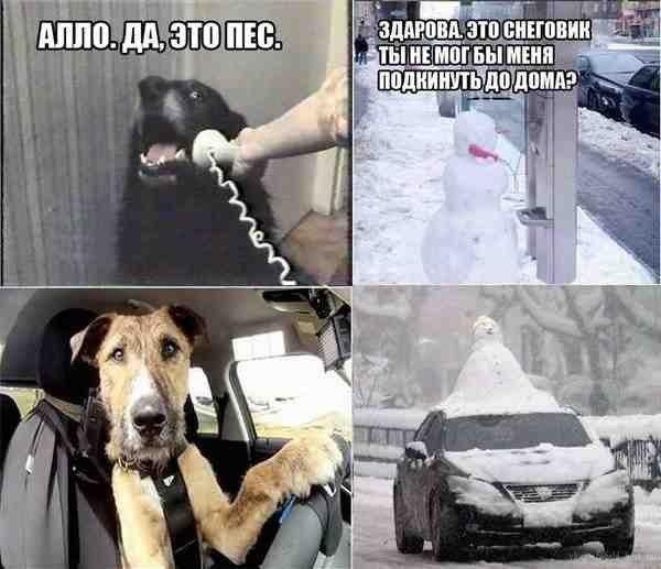 ���� ������ ����� - 26 ������� 2014 � 09:50