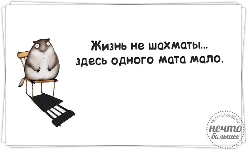 Помнит каждую. Вредный журнал. Вредный журнал в картинках. Вредный журнал смешные. Смешные цитаты с матом.