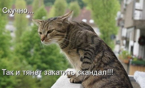 �������������� �� ���� �������� <a href=