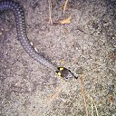 ���� �����, �����, 55 ��� - ��������� 7 ������� 2014 � ������ ���� ����������