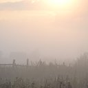 ���� ���������, ������� - ��������� 19 ������� 2014 � ������ ����������� ��������� ����. �. �������, ���������