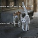 ���� �������, �����-���������, 74 ���� - ��������� 16 ������� 2014 � ������ ���� ����������