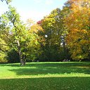 ���� �����, ���, 64 ���� - ��������� 25 ������� 2014 � ������ ���� ���������