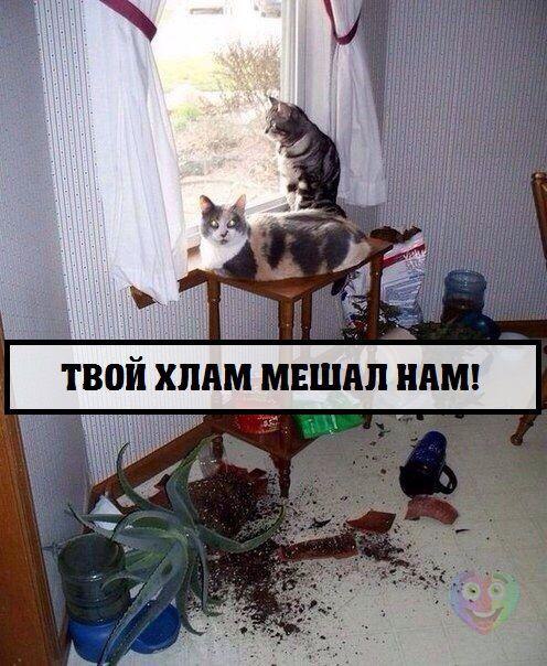 Счастливые статусы. Кто мешает жить. Кому мешал жить. Цитаты про человеческие качества. Кому мешал жить.