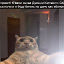 ���� �����, ��������, 54 ���� - ��������� 31 ������� 2014 � ������ ������ ��������