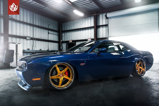 Dodge Challenger 392 HEMI on Vip Modular Wheels - 5