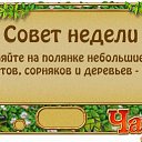 ���� ������ �-180��, ���������, 44 ���� - ��������� 20 ������ 2014 � ������ ��������