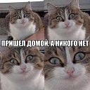 ���� ���, ������, 22 ���� - ��������� 13 ������� 2014 � ������ ���� ����������