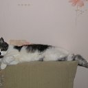 ��������� �� ������� ���������