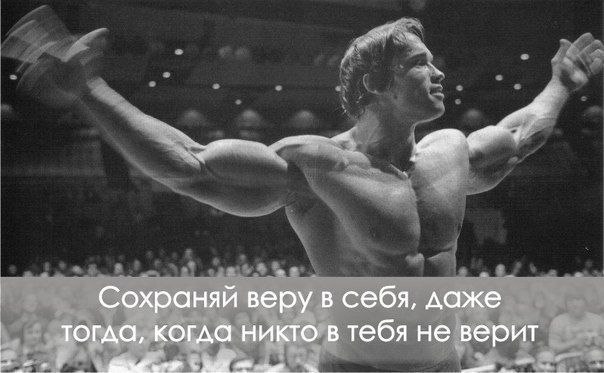 SportFeed - 23  2014  23:49