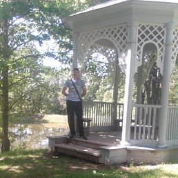 ������, ��������, 38 ���