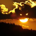 ���� �������, �������, 44 ���� - ��������� 31 ������� 2014 � ������ ������ ��������