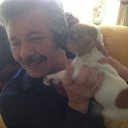 ���� �������, ������, 69 ��� - ��������� 1 ������ 2014 � ������ ���� ����������