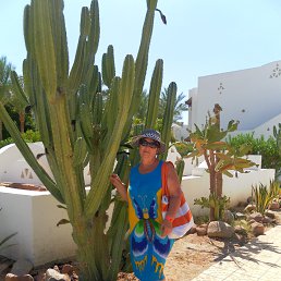 ���� �������� ��������, ������-��-����, 65 ��� - ��������� 13 ������� 2014