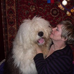 ���������, �����-���������, 78 ���