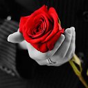 ���� ������, ������, 55 ��� - ��������� 1 ������ 2014 � ������ ���� ����������