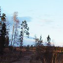 ������� �� ������� �������