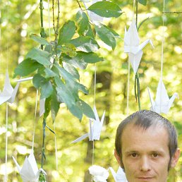 ������, �������, 41 ���