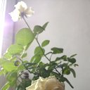 ���� �������, ������� - ��������� 8 ������� 2014 � ������ ����� ��� ������������
