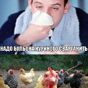 ���� (����������), ����-��������� - ��������� 16 ������ 2014 � ������ ������ ��������