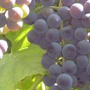 ���� �������, ����, 61 ��� - ��������� 28 �������� 2014 � ������ ���� ����������