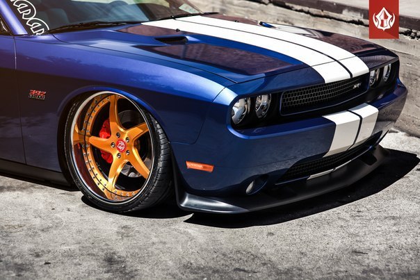 Dodge Challenger 392 HEMI on Vip Modular Wheels - 4