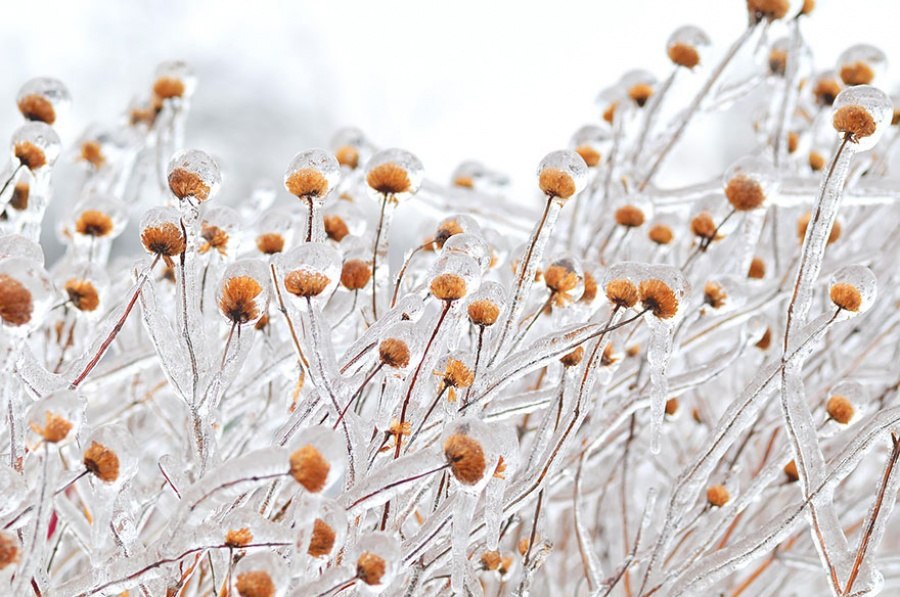   .#nature@interestplanet_ru - 2
