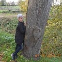 ���� �������, �����������, 71 ��� - ��������� 8 ������� 2014 � ������ ���� �������