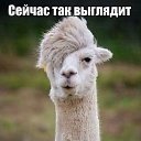 ���� � �, �������, 32 ���� - ��������� 21 ������� 2014 � ������ ������ ��������