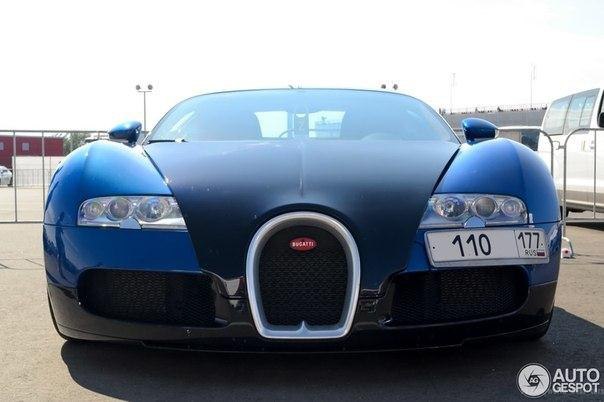 Bugatti Veyron, 200511.   300     .  ... - 3