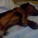 ���� Mrs, ���� - ��������� 8 ������� 2014 � ������ ���� ����������