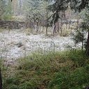 ���� ������, ������, 52 ���� - ��������� 3 ������� 2014 � ������ ���� ����������