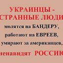 ���� ����, �����-���������, 40 ��� - ��������� 25 ������� 2014 � ������ ������ ��������