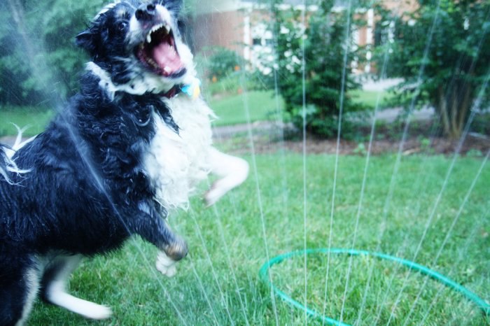  :   .           ... - 25