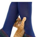 ���� ���� �����, ���������, 43 ���� - ��������� 9 ������� 2014 � ������ �1�