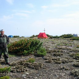 �����, ��������, 58 ���