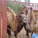 ���� ������, ������, 54 ���� - ��������� 8 �������� 2014 � ������ ��������