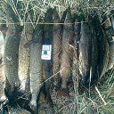 ���� �����, ������, 42 ���� - ��������� 10 ������� 2014 � ������ ���� ����������