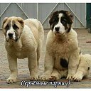 ���� Selena), �������� - ��������� 13 �������� 2014 � ������ ���� ����������