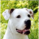 ���� �����, ������, 52 ���� - ��������� 30 ������ 2014 � ������ ���� ����������