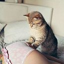 ....� ��� ��� �������� ����� ������� ..)))) �� ������� ������� --�� !!!�
