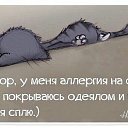 ���� . �����. ., ������, 41 ��� - ��������� 30 �������� 2014 � ������ ������ ��������