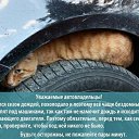 ���� �������, ������, 46 ��� - ��������� 2 �������� 2014 � ������ ������ ��������