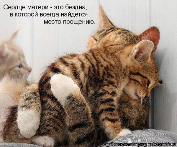 Подпишитесь, если понравилось!!! fotostrana.ru/public/237440/?