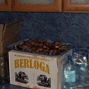 ���� ��������, ������, 48 ��� - ��������� 26 �������� 2014 � ������ ���� ����������