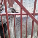 ���� ������, ������, 54 ���� - ��������� 8 �������� 2014 � ������ ��������