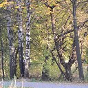 ���� �������(�� ������� ������), ������-��� - ��������� 13 ������� 2014 � ������ ���� ����������