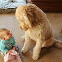 ���� �����, ������ - ��������� 17 ������� 2014 � ������ �����